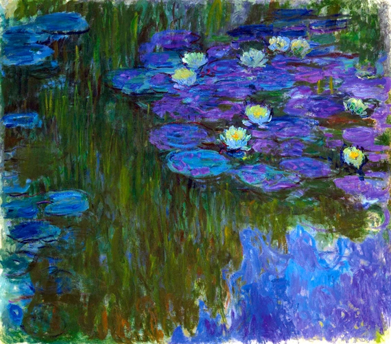 Nympheas En Fleur