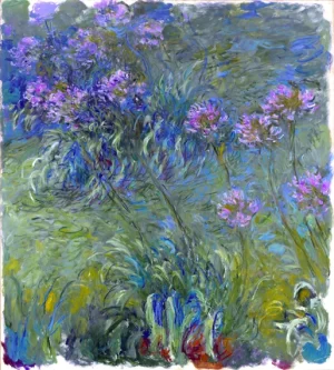 Agapanthus Flowers, 1914-17