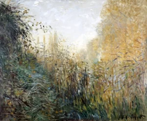 Etude De Joncs