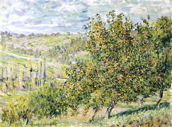 Apple Blossom