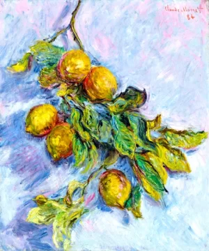 Citrons Sur Une Branche