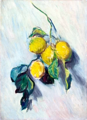 Branche De Citronnier