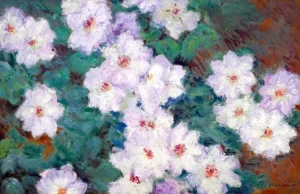 Clématites