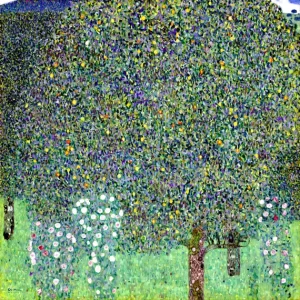 Rosebushes Under the Trees
