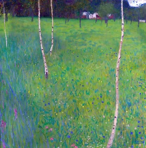 Farmhouse With Birch Trees Young Birch Trees