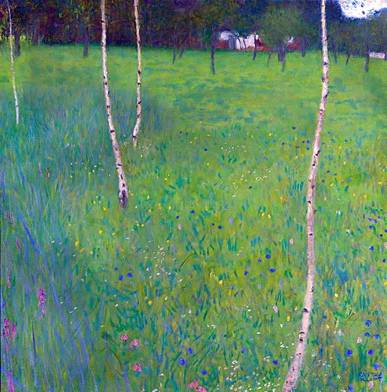 Farmhouse With Birch Trees Young Birch Trees