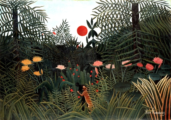 Virgin forest at sunset