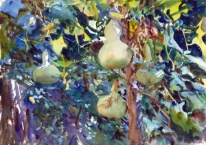 Gourds 1908