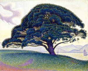 The Bonaventure Pine