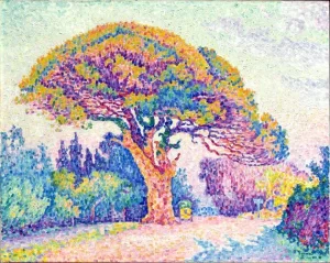 The Pine Tree At Saint Tropez