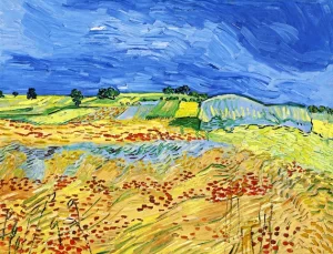 The Fields