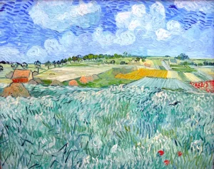Plain Close To Auvers