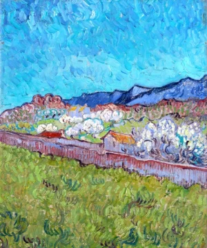 View Of The Alpilles