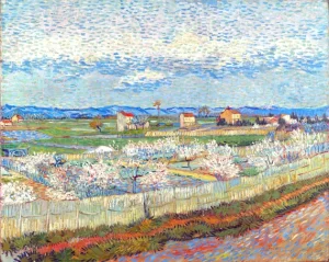 La Crau With Peach Trees In Bloom