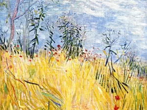 Edge Of A Wheat Field With Poppies