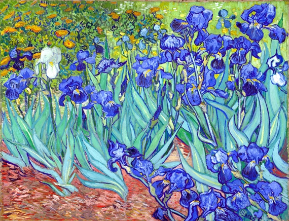 Irises 1889