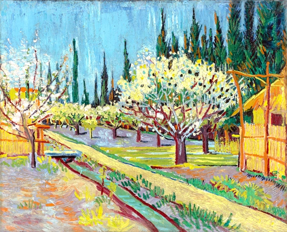 Orchard Bordered By Cypresses
