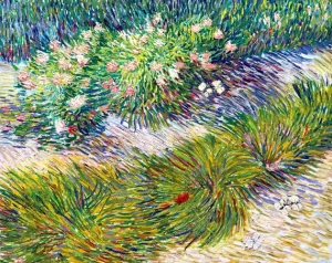 Grass And Butterflies