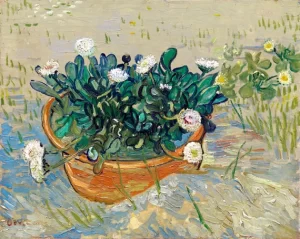Daises