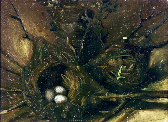Birds Nests