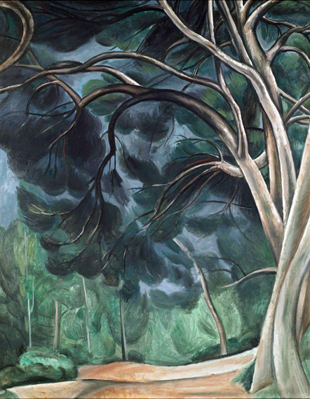 Trunks of trees