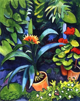 Clivia And Geranium