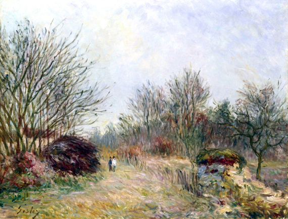 The Little Forest