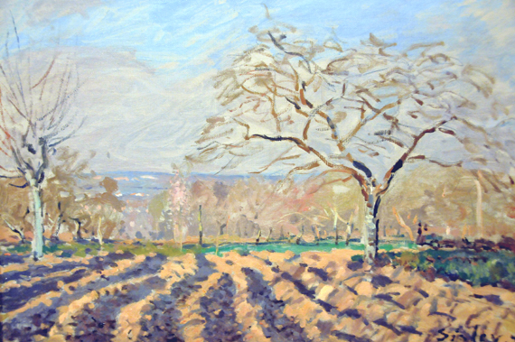 The Furrows 1873