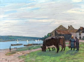 Vaches au Pâturage