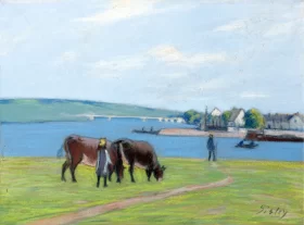 Vaches au Bord de La Seine à Saint Mammès
