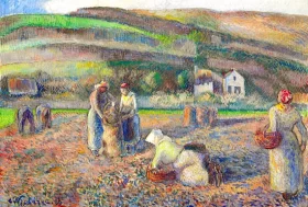 La RéColte des Pommes de Terre 1886