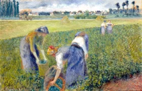 Paysannes Travaillant Dans Les Champs, Pontoise 1881