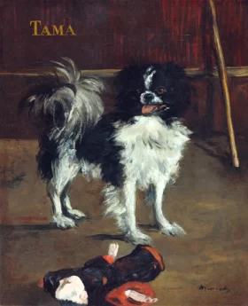 TAMA 1875