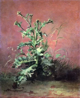 Thistles 1858