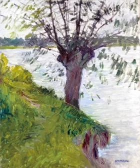 Saule Au Bord De La Rivière 1891
