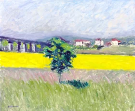Prairie Au Pont D'argenteuil