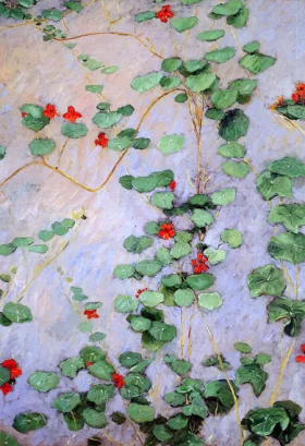 Nasturtiums 1892