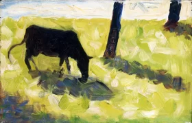 Black Cow In A Meadow