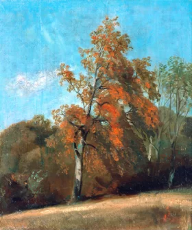 Study of an Ash Tree