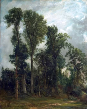 Trees at Hampstead - The Path to Church