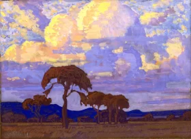 Highveld landscape with Clouds