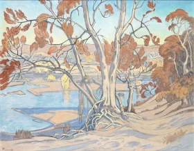 Msasa Trees on the Olifants River, Northern Transvaal