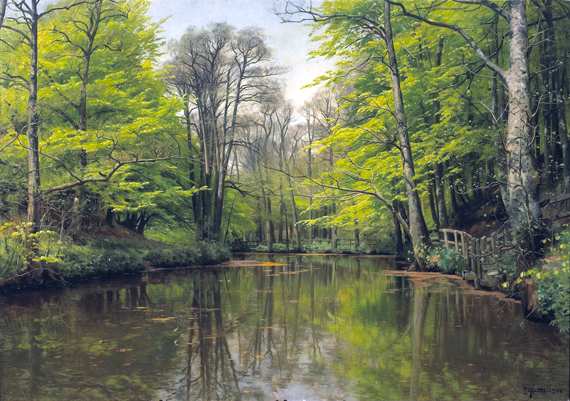A tranquil forest lake 1904