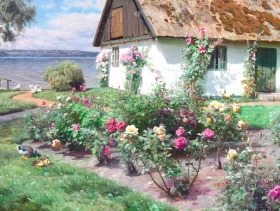 Roses in bloom at an old garden cottage near Sørup 1934