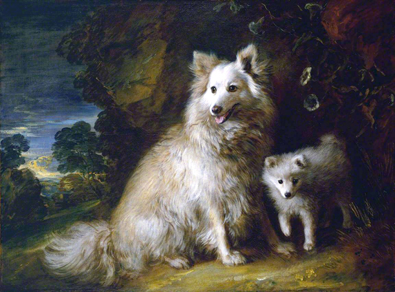 Pomeranian Bitch and Puppy 1777