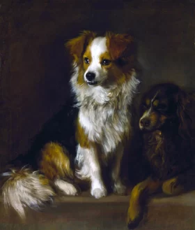 Tristram and Fox