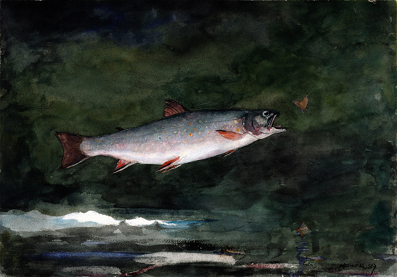 Leaping Trout 1889