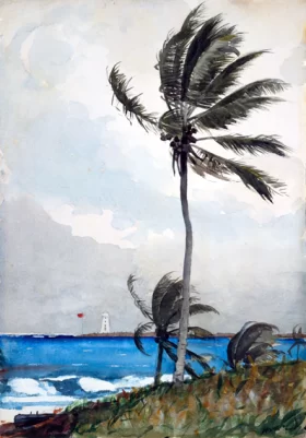Moonlit night on the Black Sea coast, in the Caucasus 1891 Palm Tree, Nassau