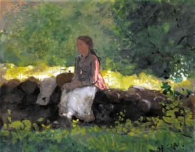 On the fence, 1878