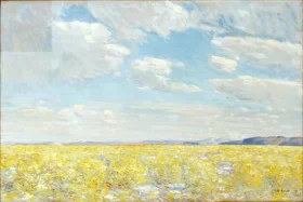 Afternoon Sky, Harney Desert 1908